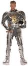 Knight in Shining Armor Adult Costume