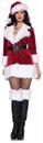 Sexy Secret Santa Costume Set Adult