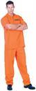 Public Offender Adult Male Costume