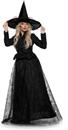 Wicked Witch Adult Costume