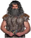 Viking Wig & Beard Adult Costume Set | Grey