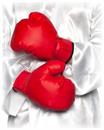 Red Boxing Gloves Adult Costume Accessory | OS