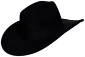 Black Bullnose Cowboy Hat Adult Costume Accessory