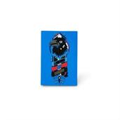 Harry Potter House Ravenclaw 3 Inch PVC Magnet