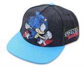 Sonic the Hedgehog Adjustable Distressed Baseball Hat | One Size