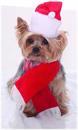 Santa Christmas Pet Costume