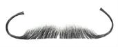 Aristocrat Grey Real Human Hair Adult Costume Moustache